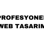 Profesyonel Web Tasarım